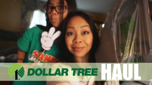 dollar-tree-haul
