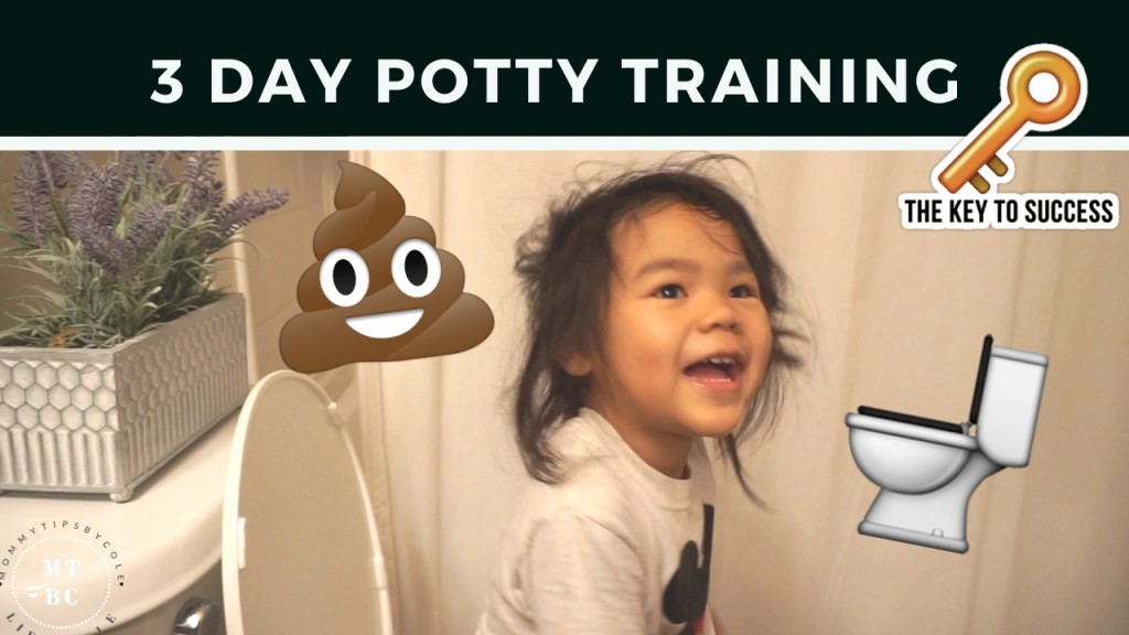 vlog-317-3-day-potty-training