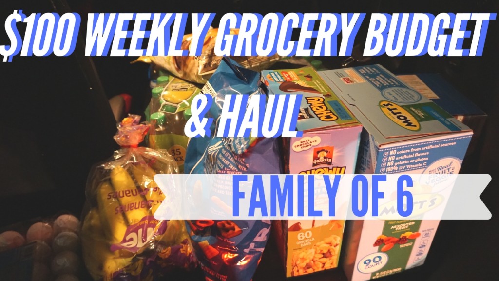 vlog-320-weekly-grocery